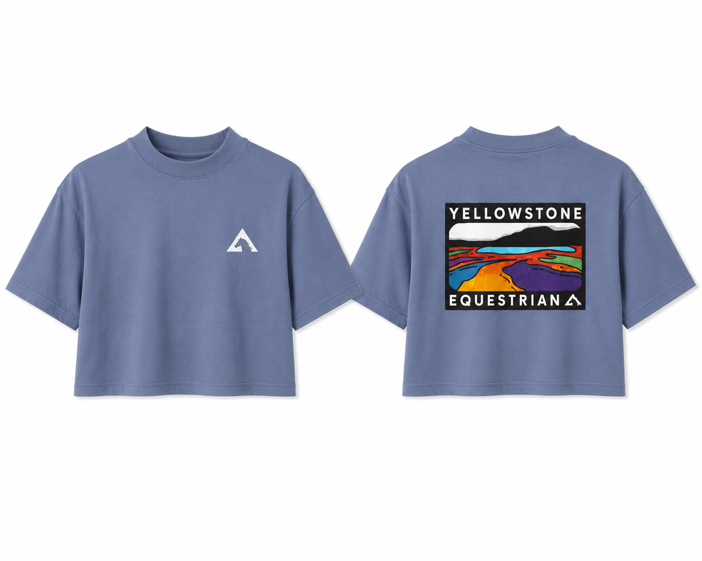 Ladies Short Sleeve T-shirt - Blue/Grey